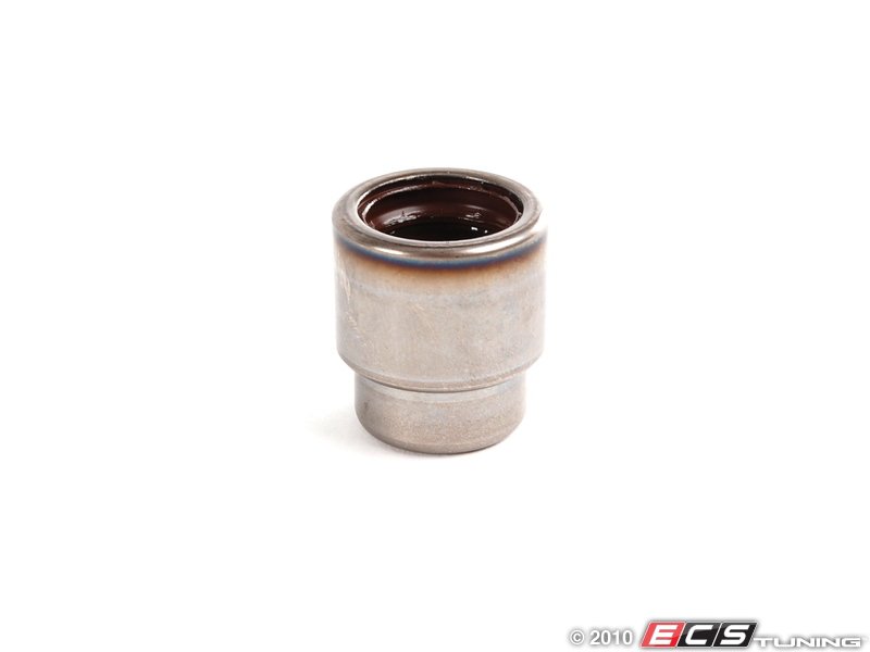 06b105313d-pilot-bearing-es-279979