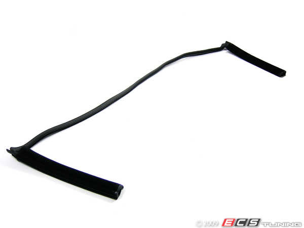 Bmw e46 windscreen seal #6