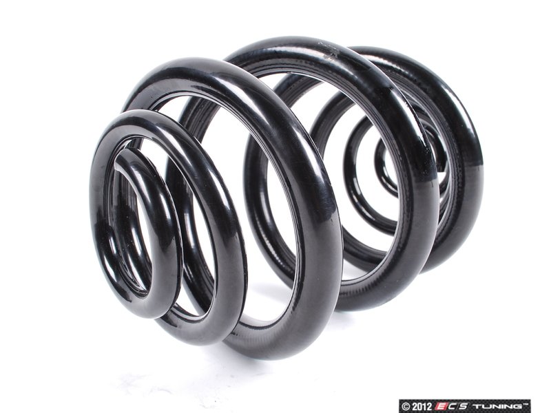 Bmw e46 m3 coil springs #5