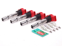 Assembled By ECS Ignition Service Kit Assembled By ECS Ignition Service Kit