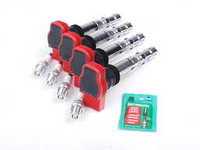 Ignition Service Kit