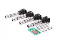 Ignition Service Kit