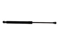 Hood Strut - Priced Each